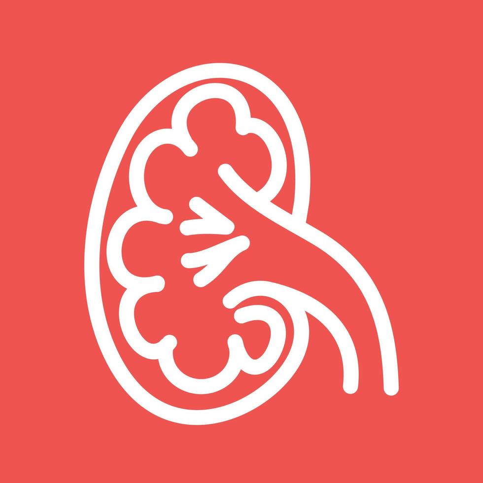 Kidney Line Color Background Icon vector