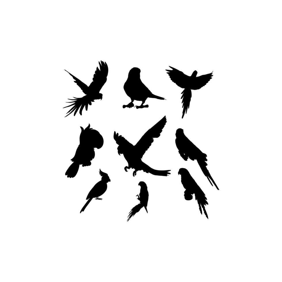 bird parrot collection set silhouette vector