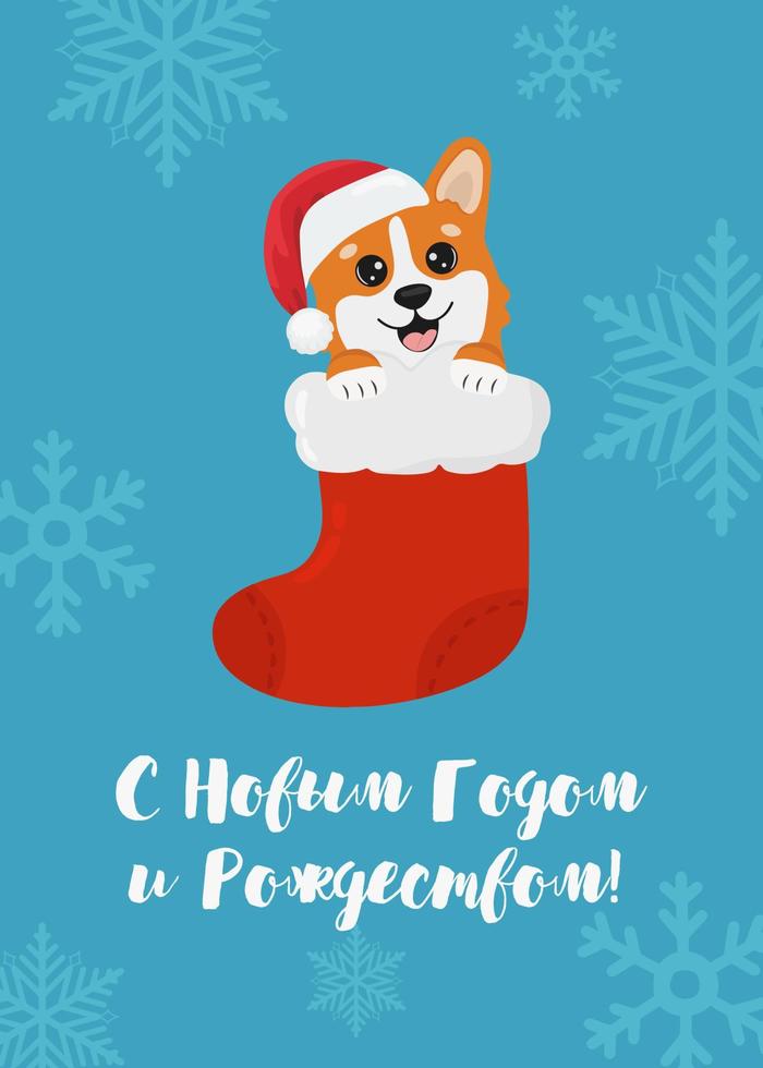 Christmas card with Christmas corgi in sock. The inscription is in Russian Happy New Year and Merry Christmas. Beautiful illustration for greeting cards, posters and seasonal design. vector