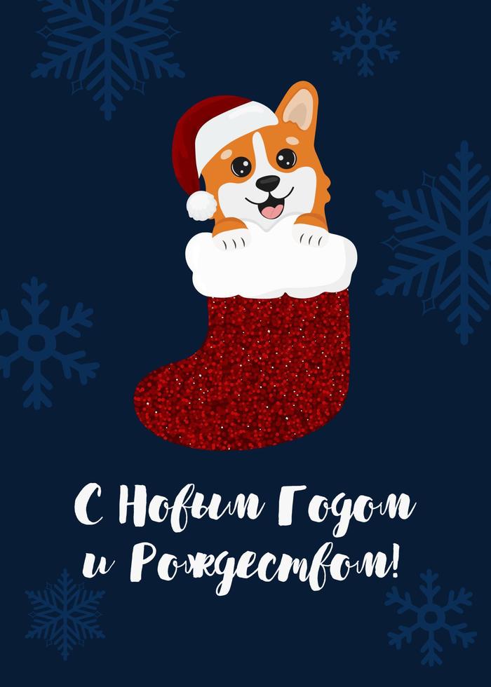 tarjeta de navidad con corgi navideño en calcetín. la inscripción está en ruso feliz año nuevo y feliz navidad. hermosa ilustración para tarjetas de felicitación, carteles y diseño de temporada. vector