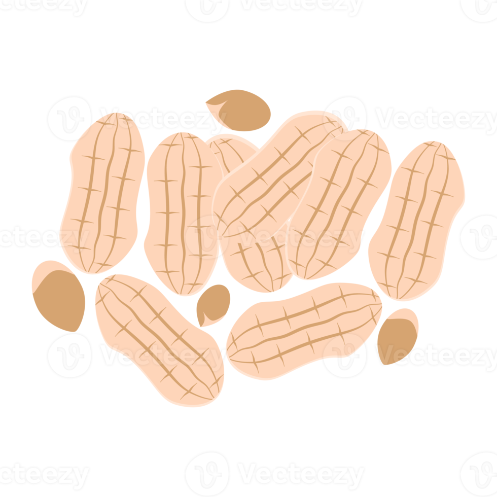 conjunto de coleta de lanches de comida saudável de amendoim png