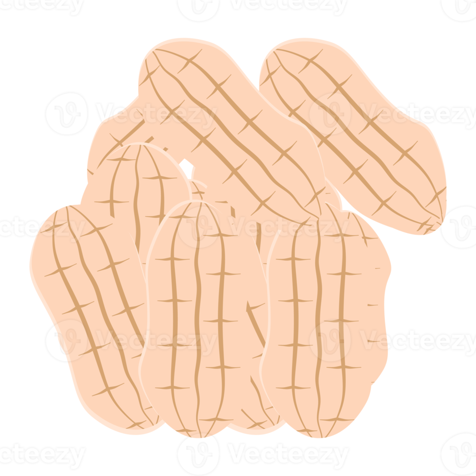 ensemble de collection de collations d'aliments sains aux arachides et aux noix png