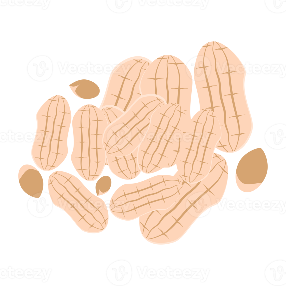 ensemble de collection de collations d'aliments sains aux arachides et aux noix png