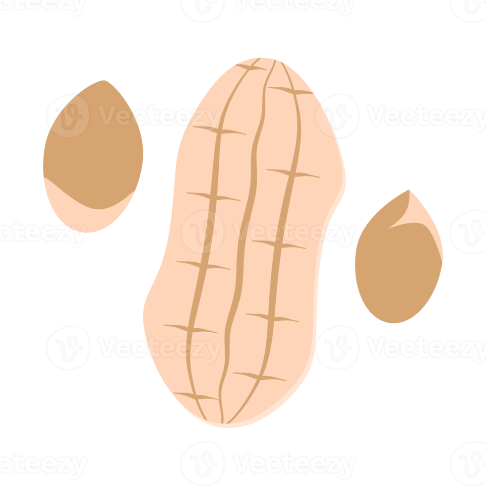 ensemble de collection de collations d'aliments sains aux arachides et aux noix png