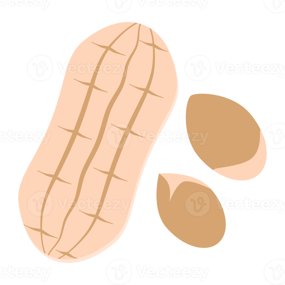 nuts peanut healthy food snacks collection set png