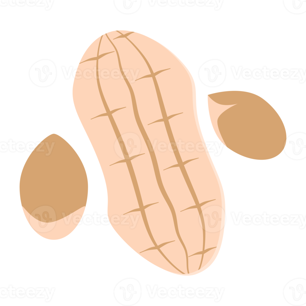 ensemble de collection de collations d'aliments sains aux arachides et aux noix png