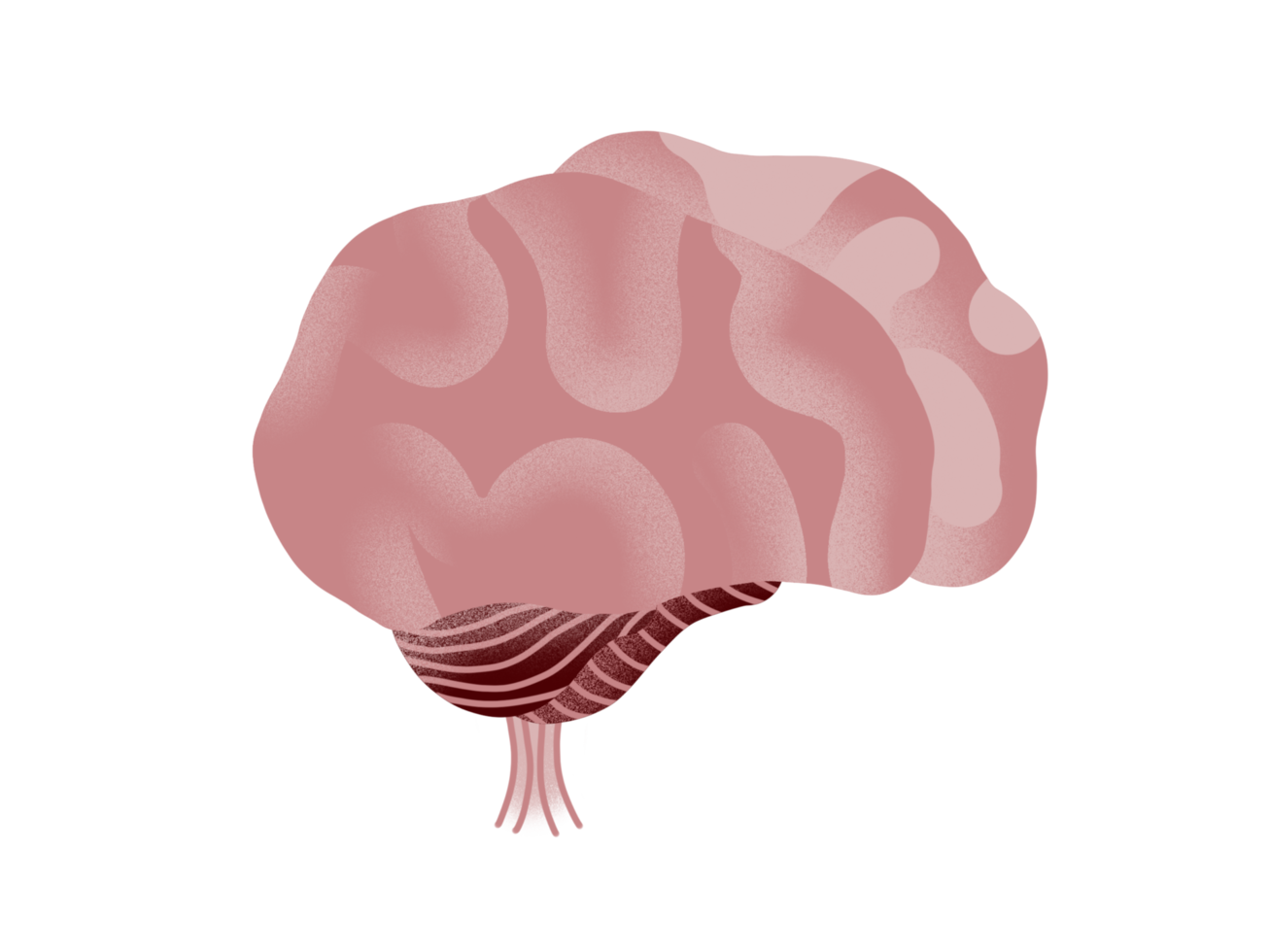 Simple Brain Illustration Drawing png