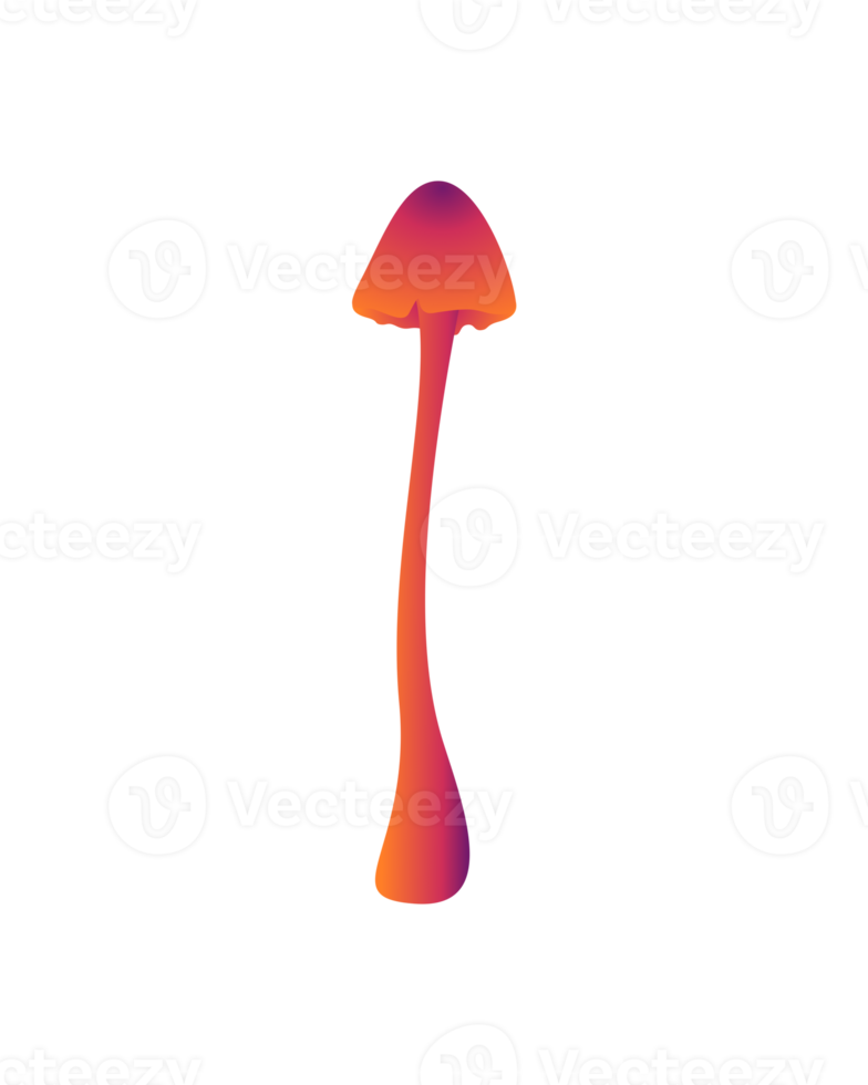 Orange and Pink Mushroom png