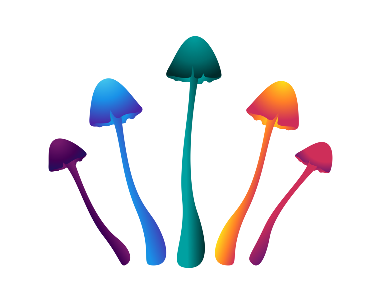 Rainbow Neon Mushrooms Png Drawing
