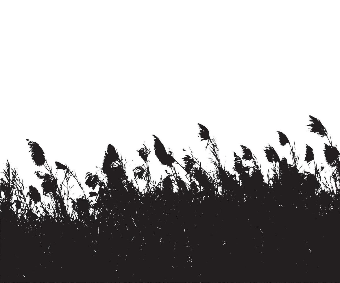 Trees Saccharum spontaneum flowers or kashful silhouette vector artwork illustrations