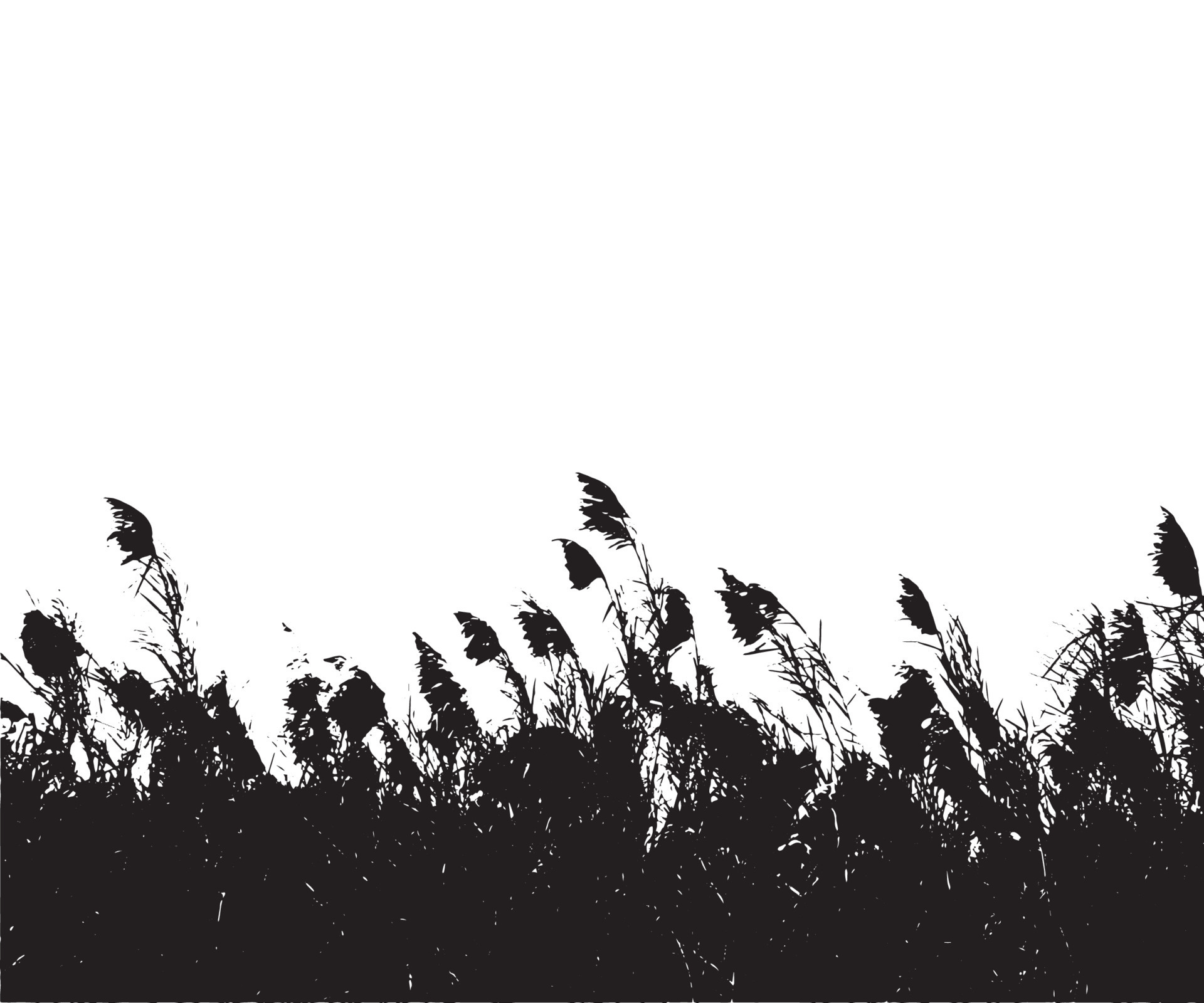 Trees Saccharum spontaneum flowers or kashful silhouette vector artwork