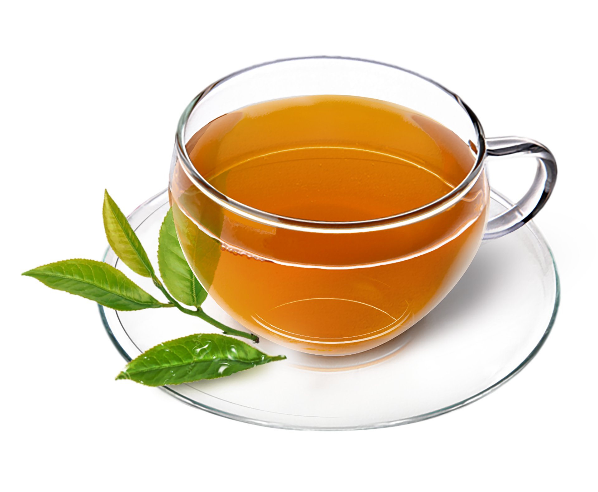 Free Cup of tea with fresh tea leaves on saucer transparant background PNG  16349677 PNG with Transparent Background