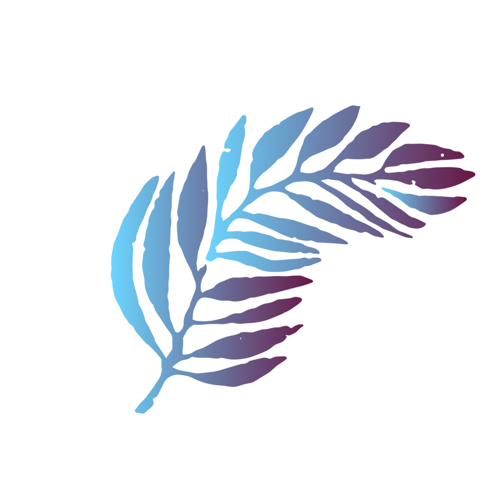 transparent flat leaf shape element. PNG transparent pro