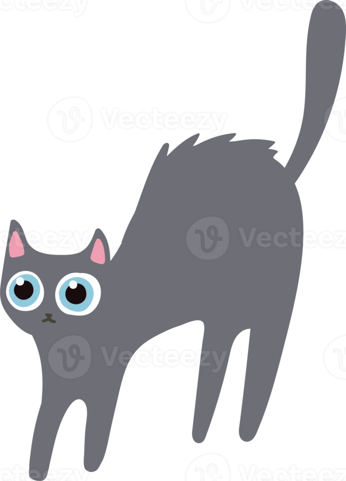 handraw  gray hair cat cute cat png