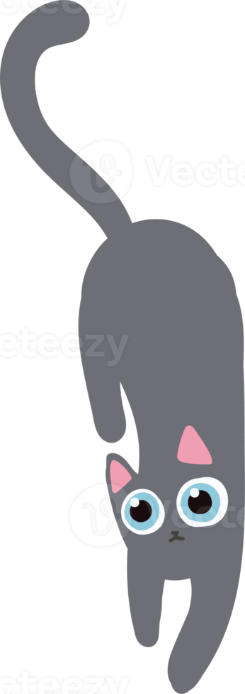 gato de cabelo grisalho desenhado à mão png