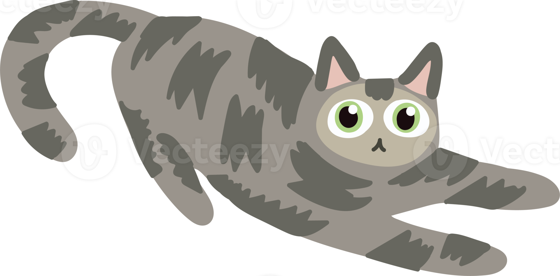 gray hair cat handraw cute cat laying on the floor png