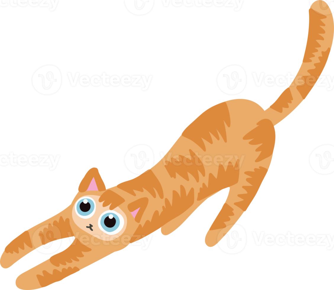 orange hair cat handraw cute cat png