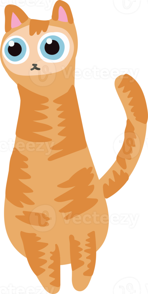 gato de pelo naranja dibujado a mano lindo gato de pie en el suelo png