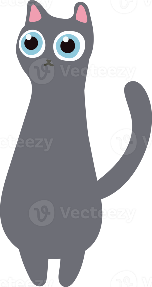 gray hair cat handraw cute cat png