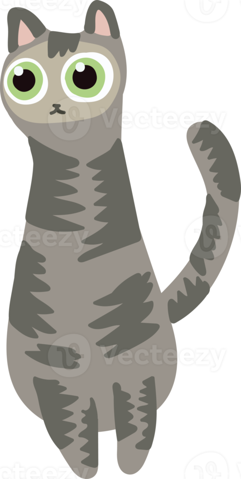 gray hair cat handraw cute cat standing on the floor png