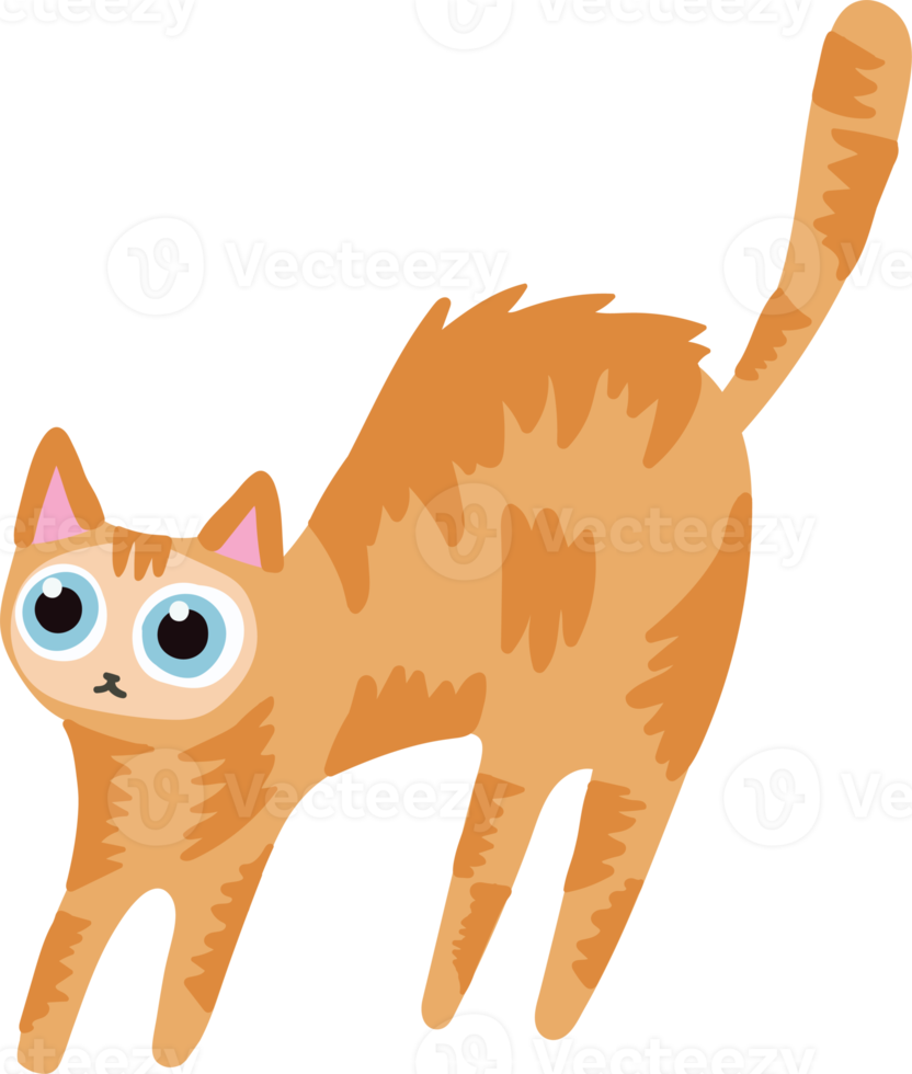 orange hair cat handraw cute cat png