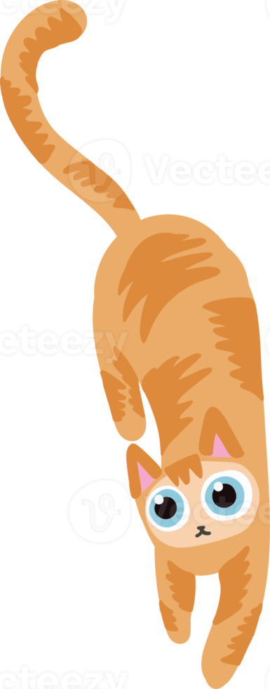 orange hair cat laying on the floor handraw cute cat png