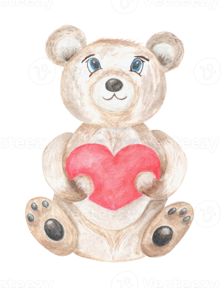 Watercolor love bear with red heart for valentines day png