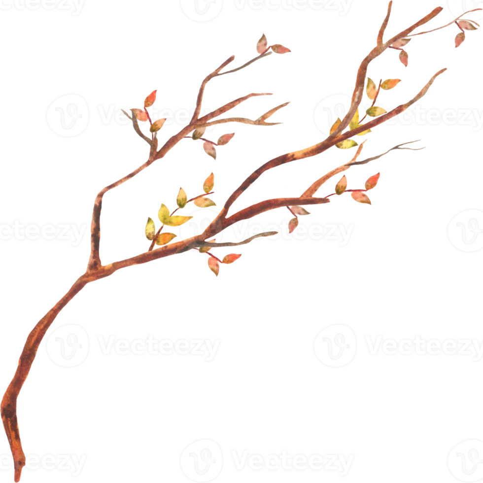 Aquarell Herbstzweig mit Blättern png