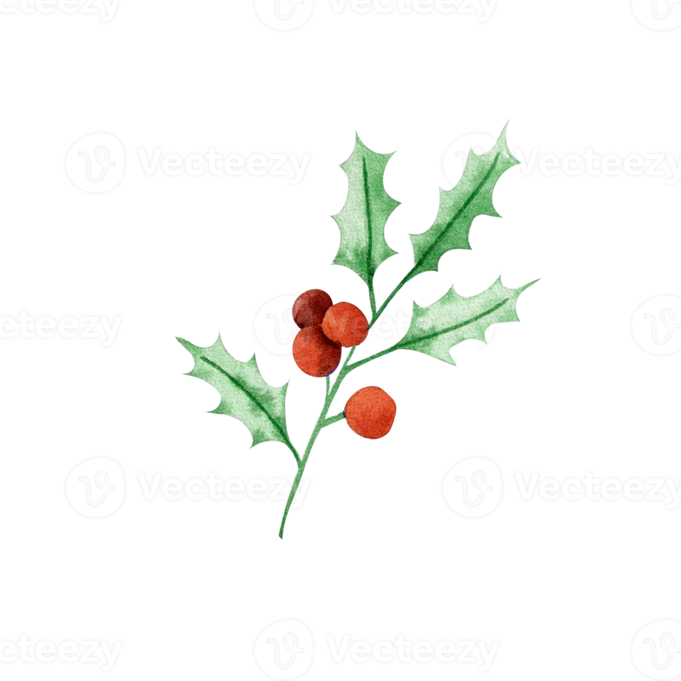 vattenfärg röd vinter- bär. jul järnek grenar dekor png
