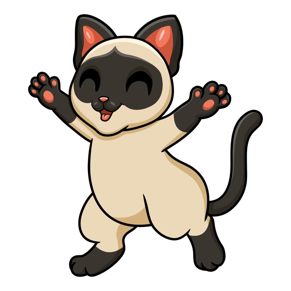Cute siamese cat cartoon posing vector