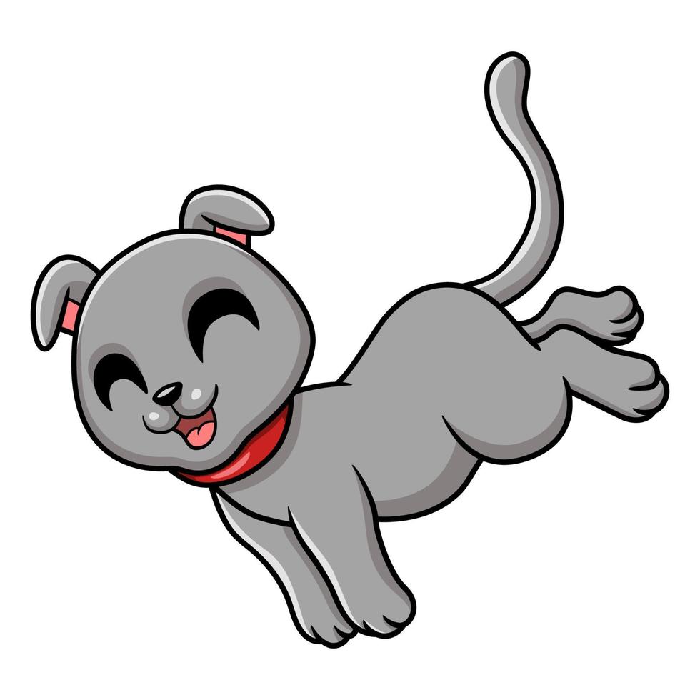 Cute scottish fold cat cartoon vector