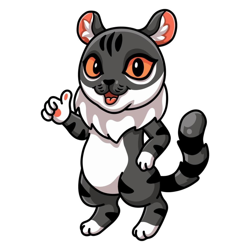 Cute American curl cat cartoon giving thumbs up vector