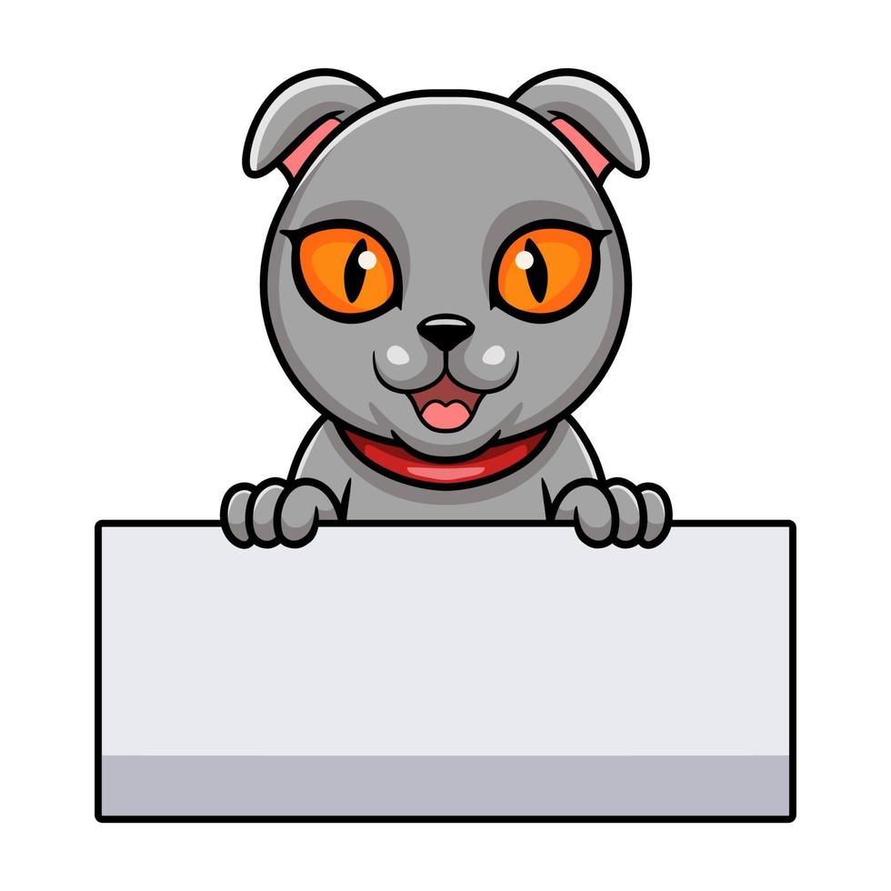 Cute scottish fold cat cartoon holding blank sign vector