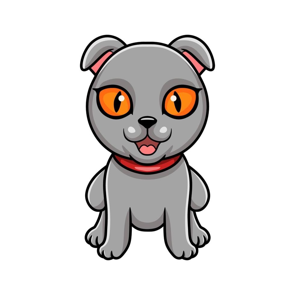 Cute scottish fold cat cartoon vector