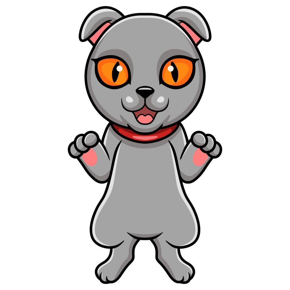 Cute scottish fold cat cartoon vector