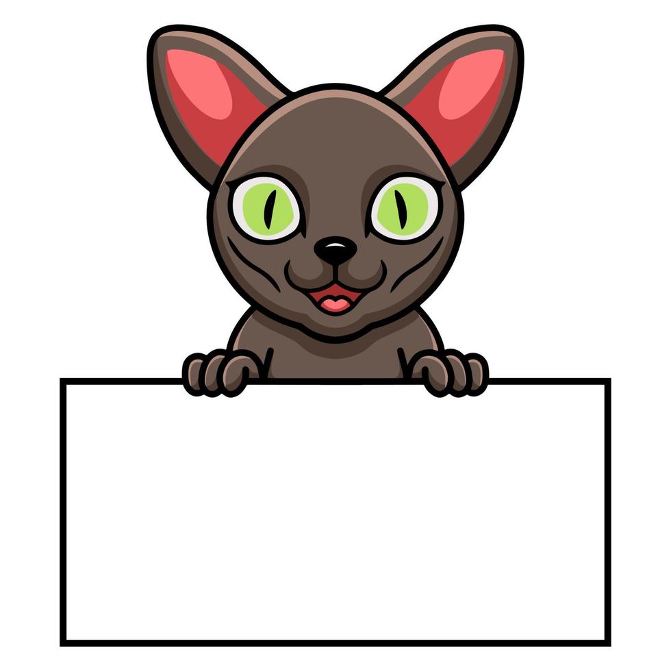 dibujos animados lindo gato korat con cartel en blanco vector