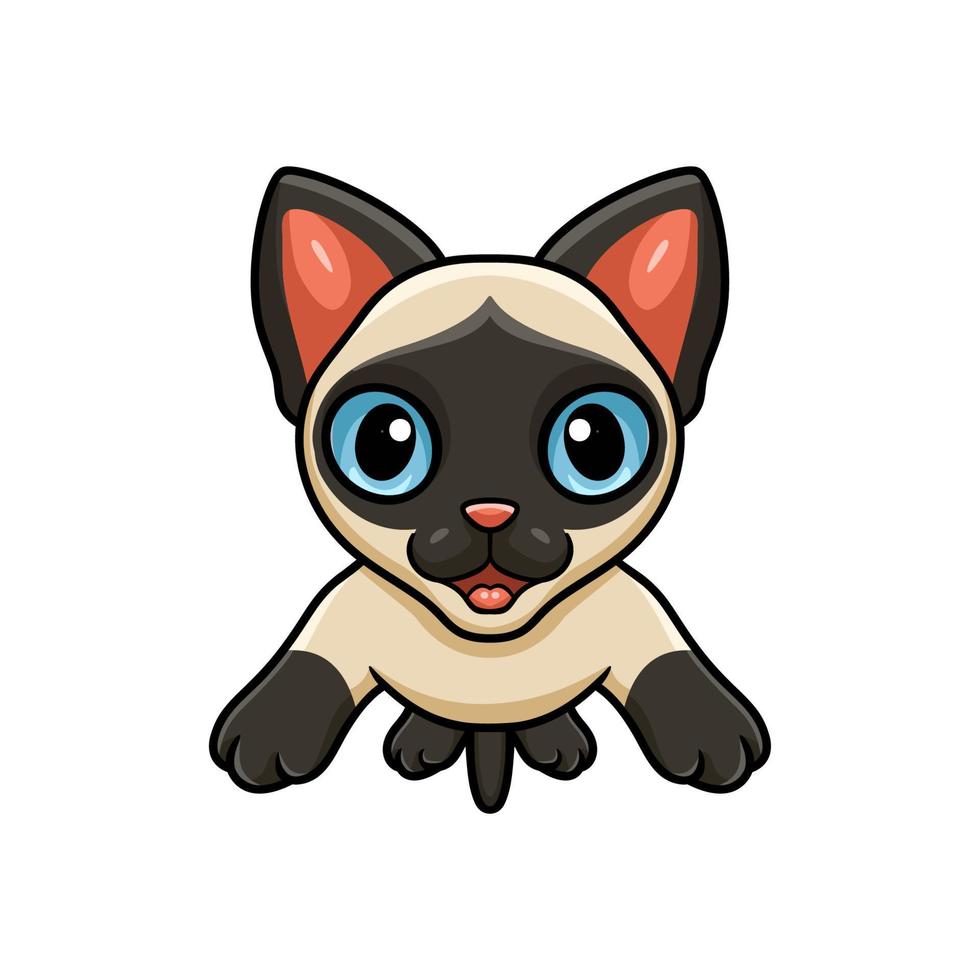 Cute siamese cat cartoon jumping vector