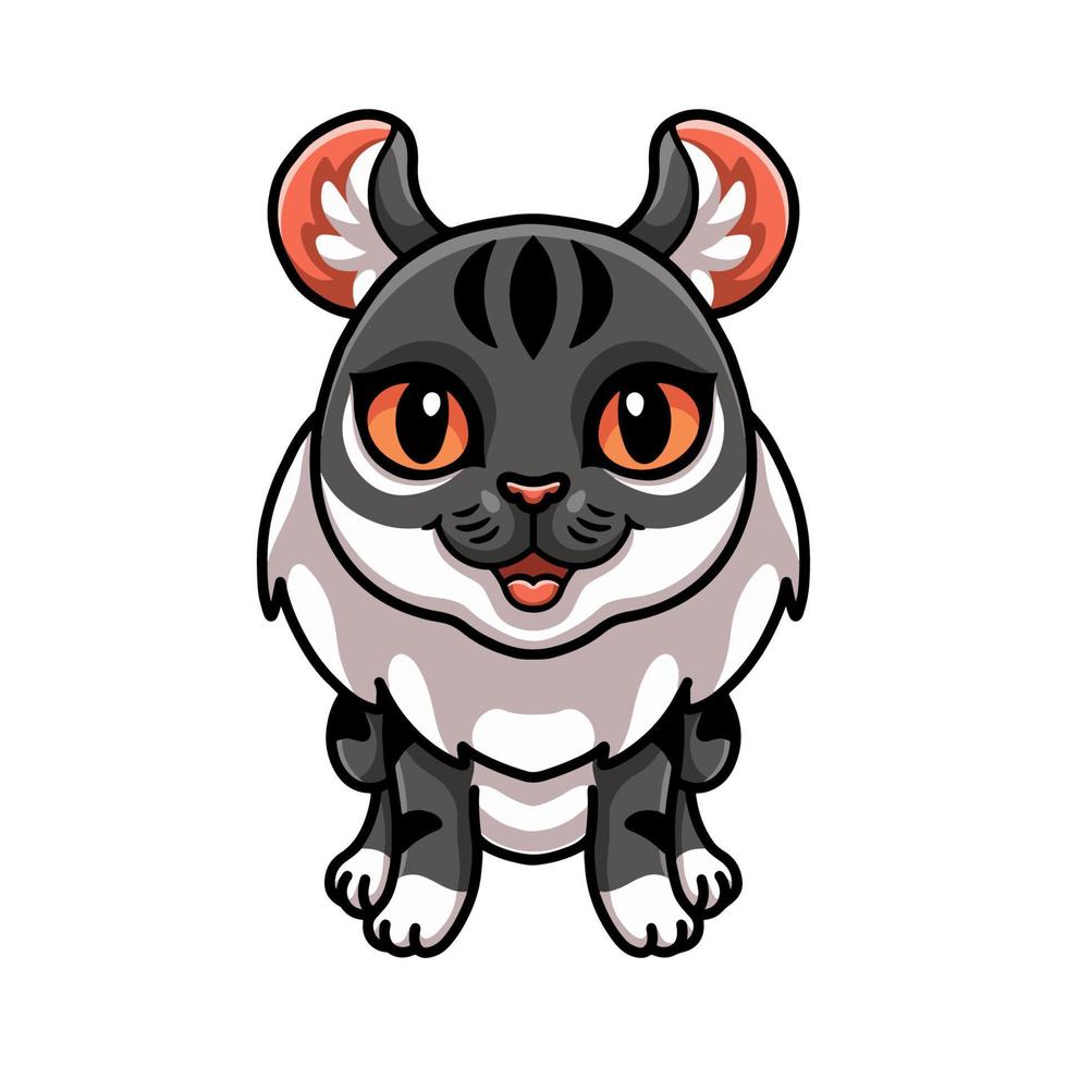Cute American curl cat cartoon vector