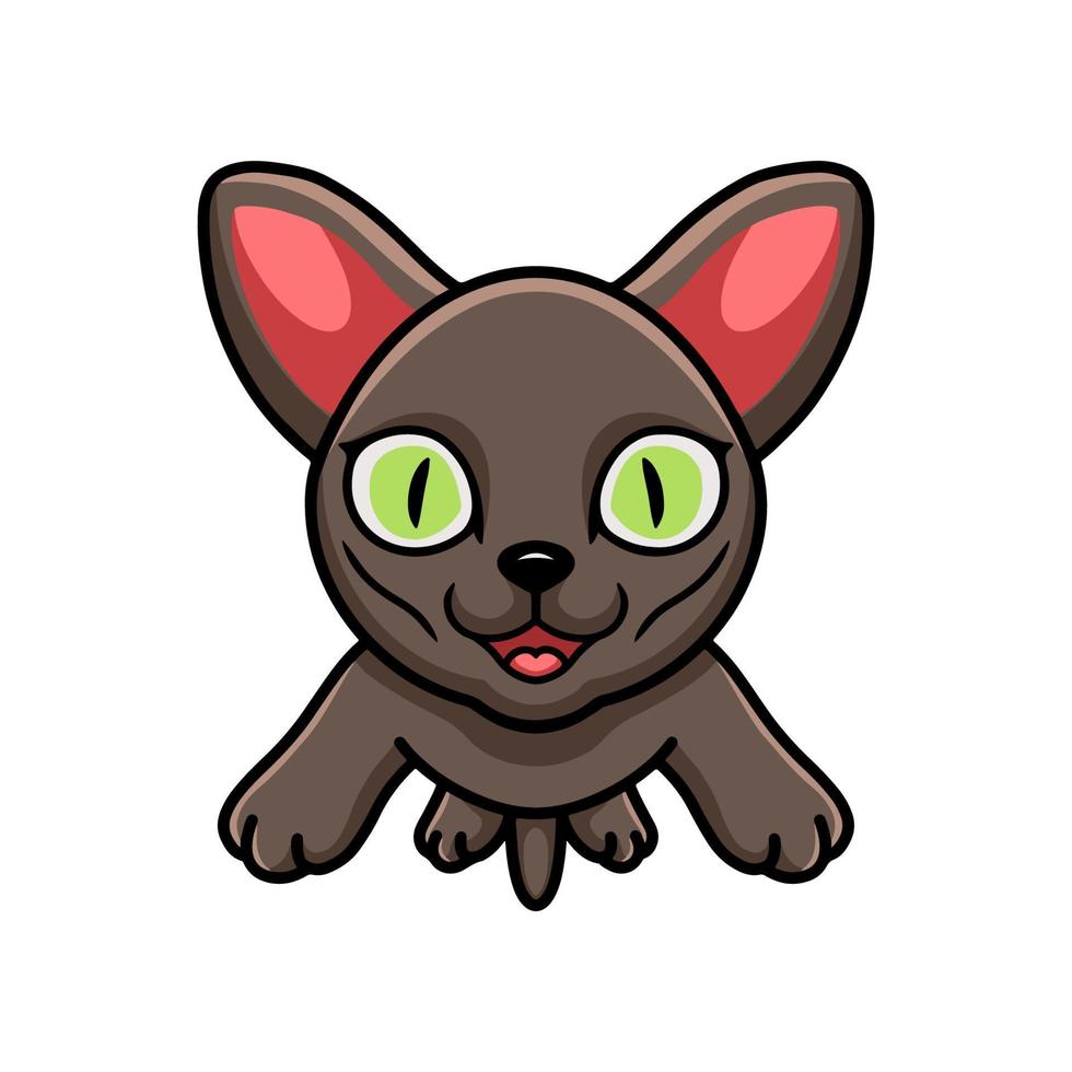 Cute korat cat cartoon flying vector