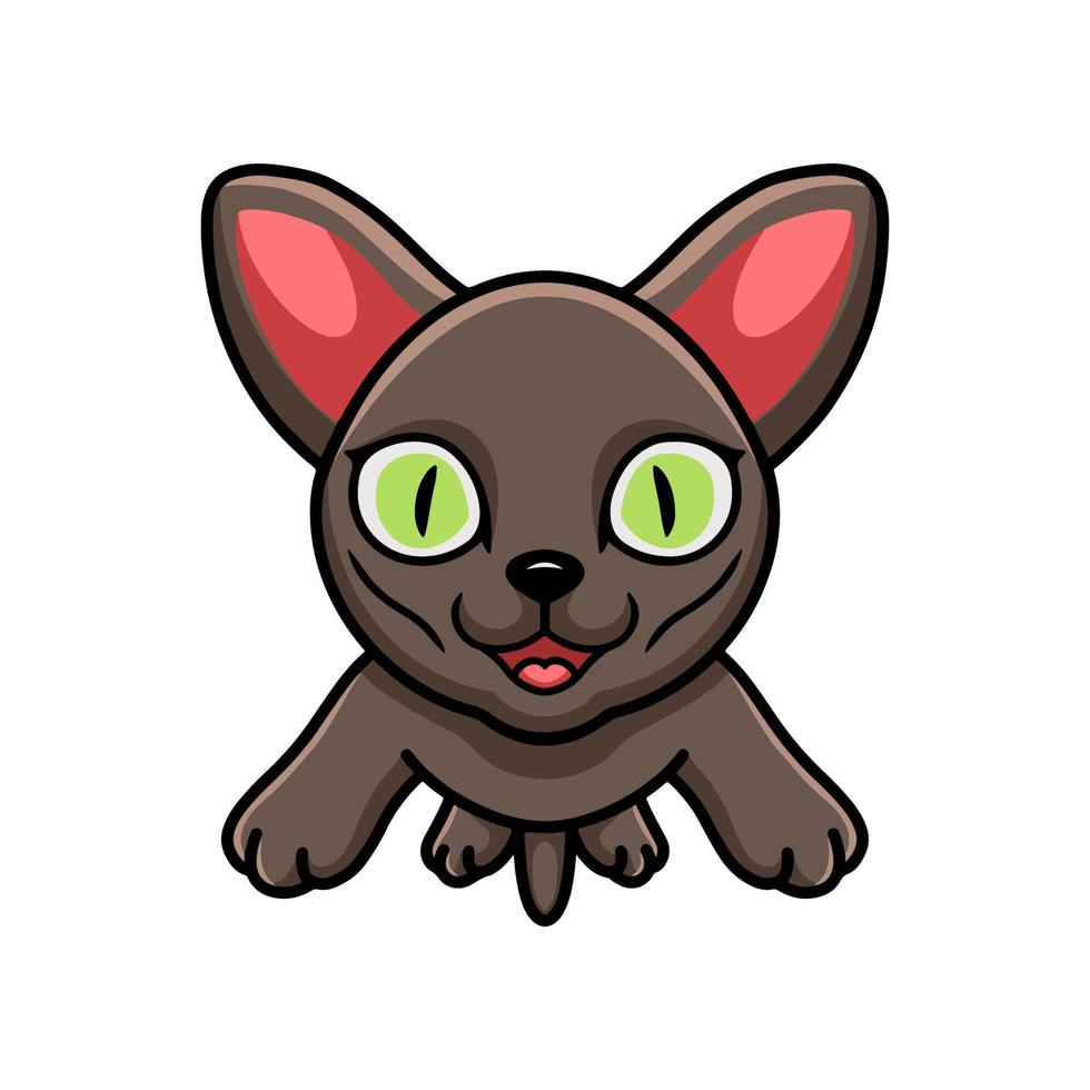 Cute korat cat cartoon flying vector