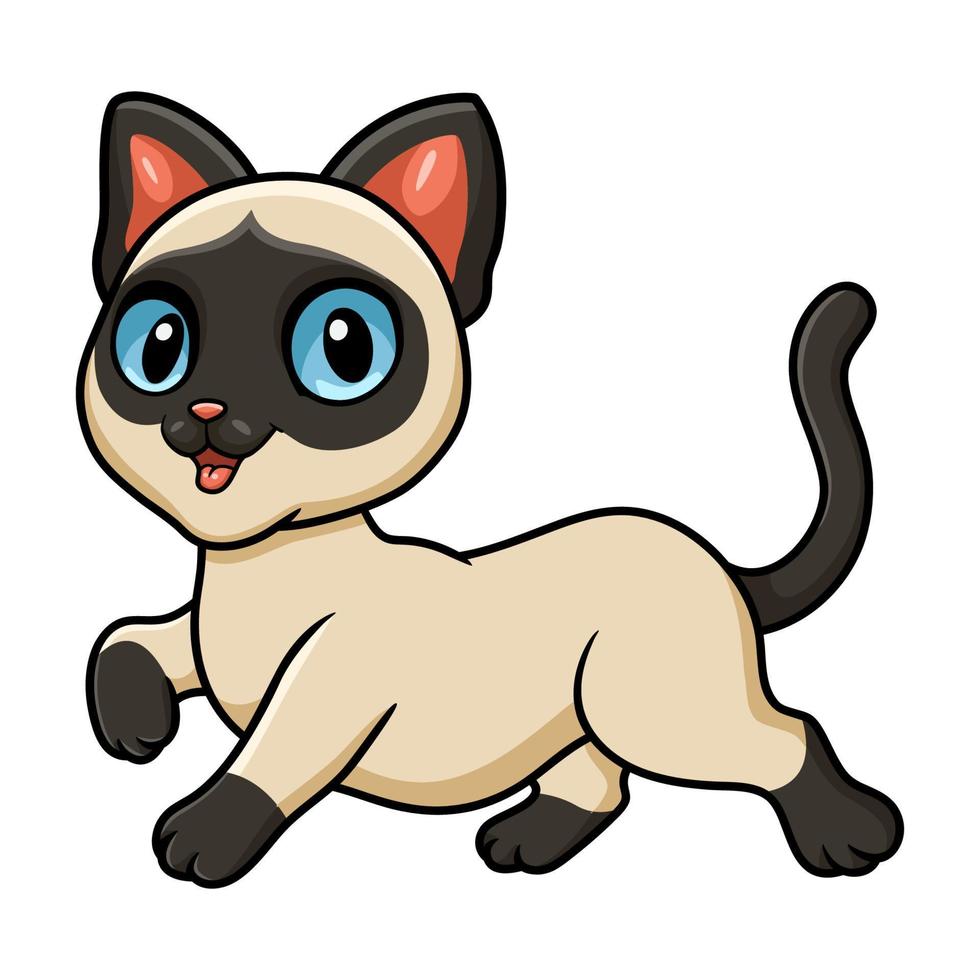 Cute siamese cat cartoon walking vector