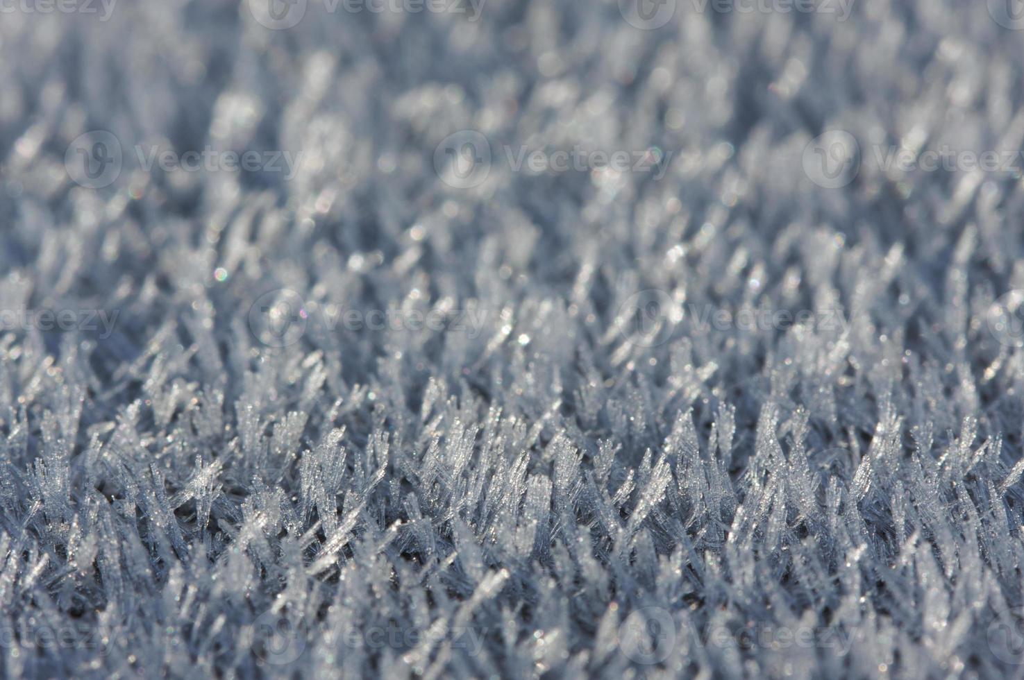 Morning Frost Crystals photo