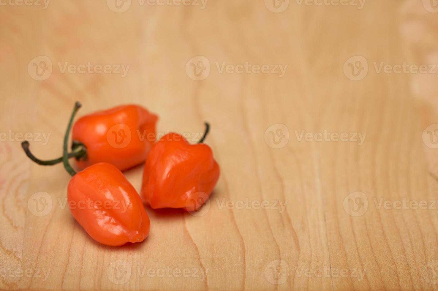 Orange Chili Peppers photo