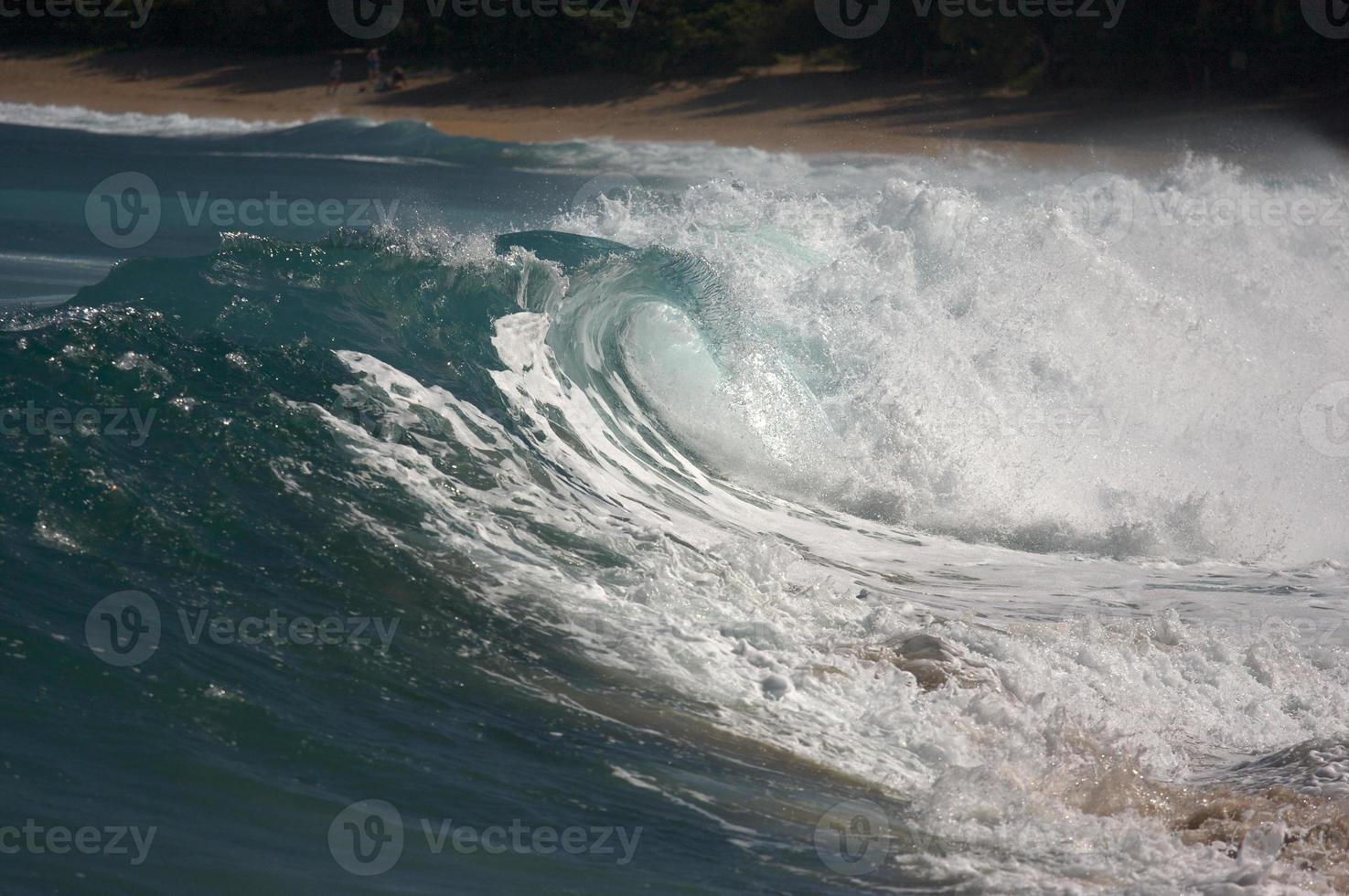 Dramatic Shorebreak Wave photo