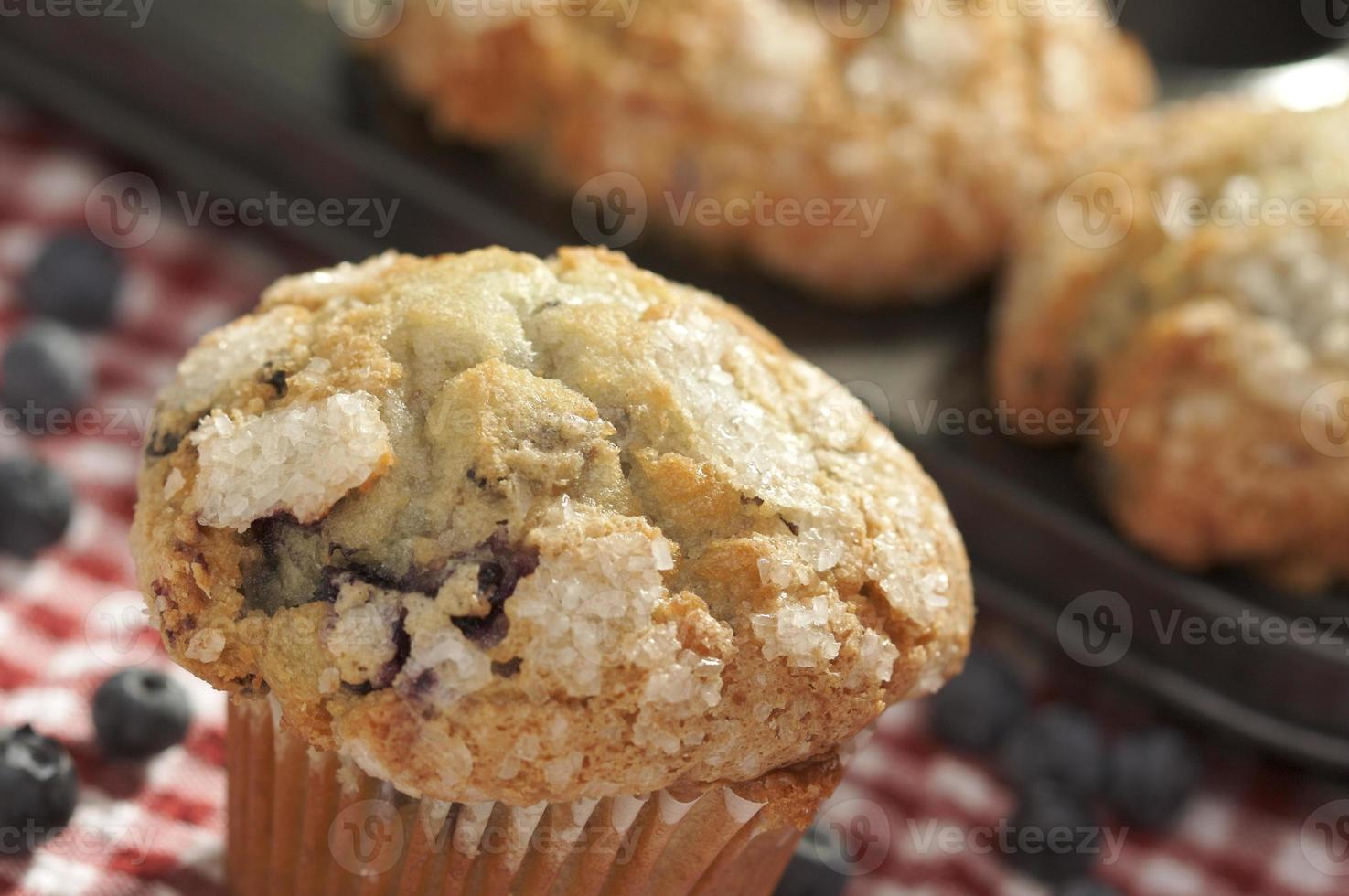 Fresh Blueberry Muffins photo