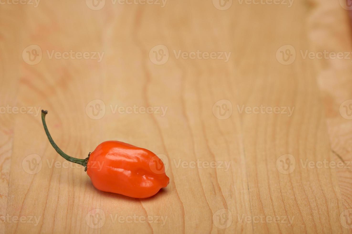 Orange Chili Pepper photo