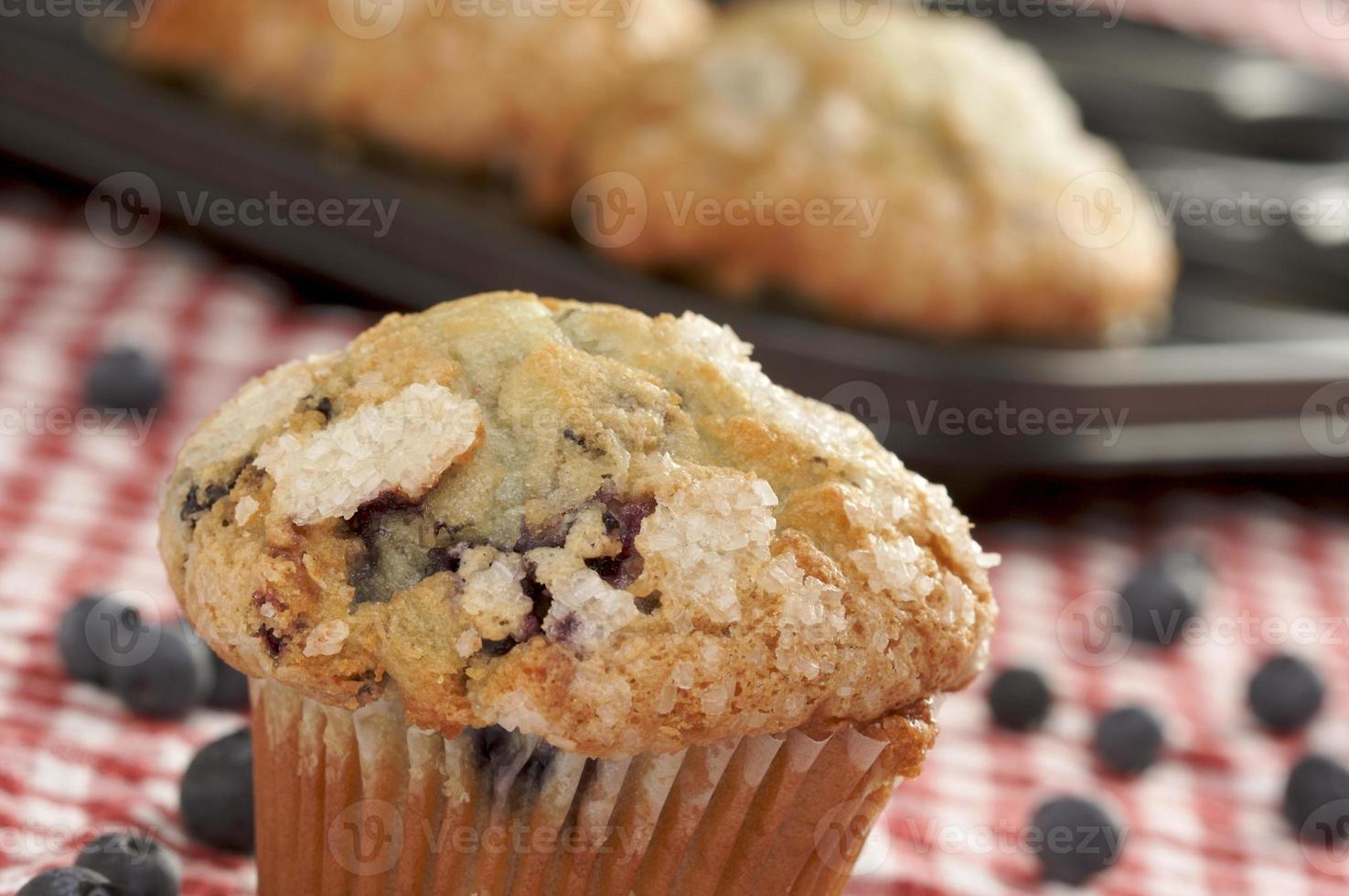 Fresh Blueberry Muffins photo