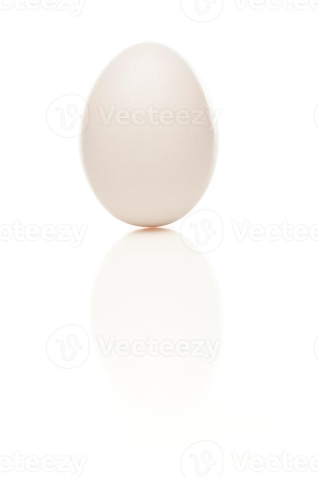 Standing Egg on a White Background photo