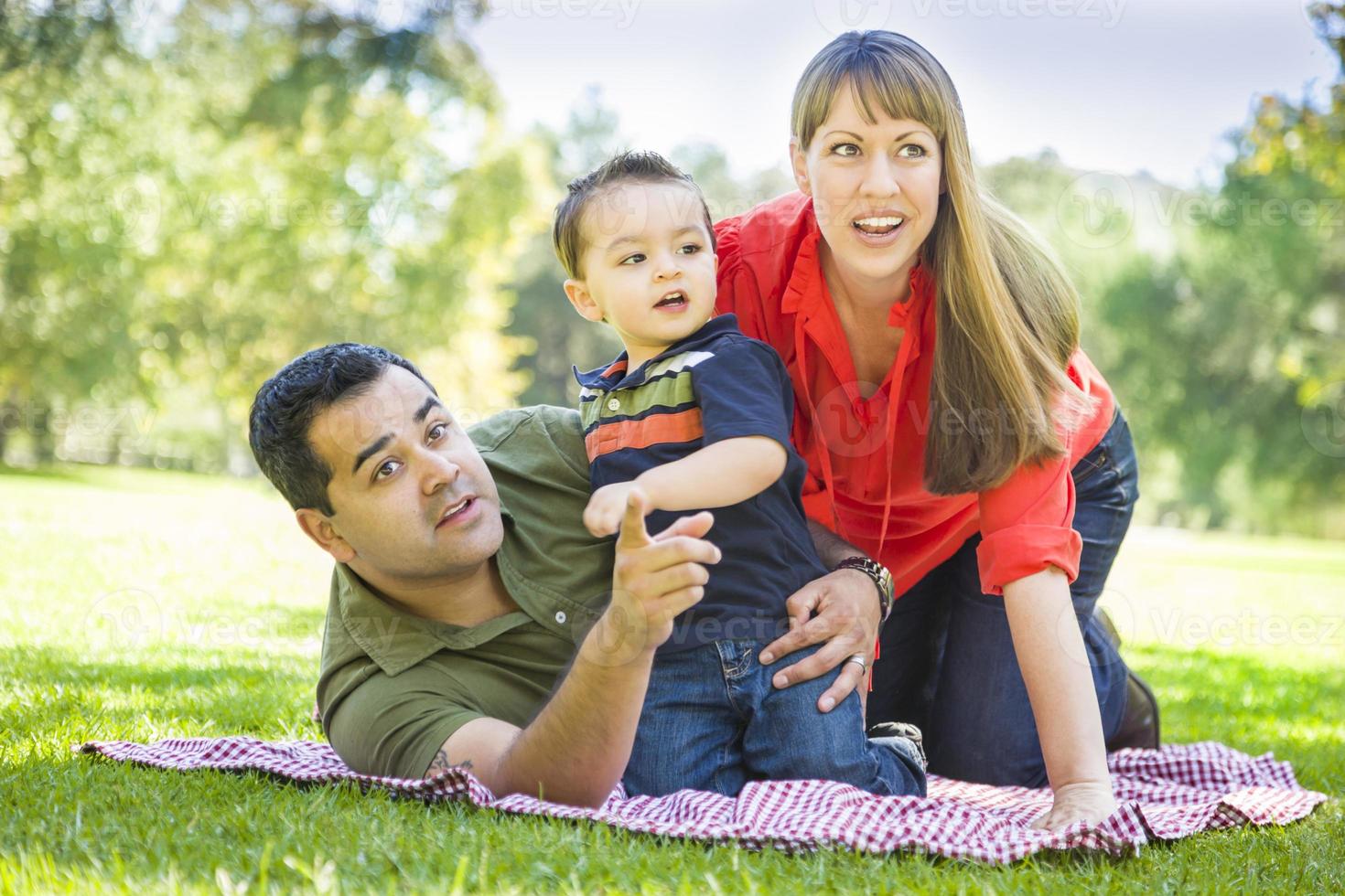 Mixed Race Family Enjoy a Day at The Park photo