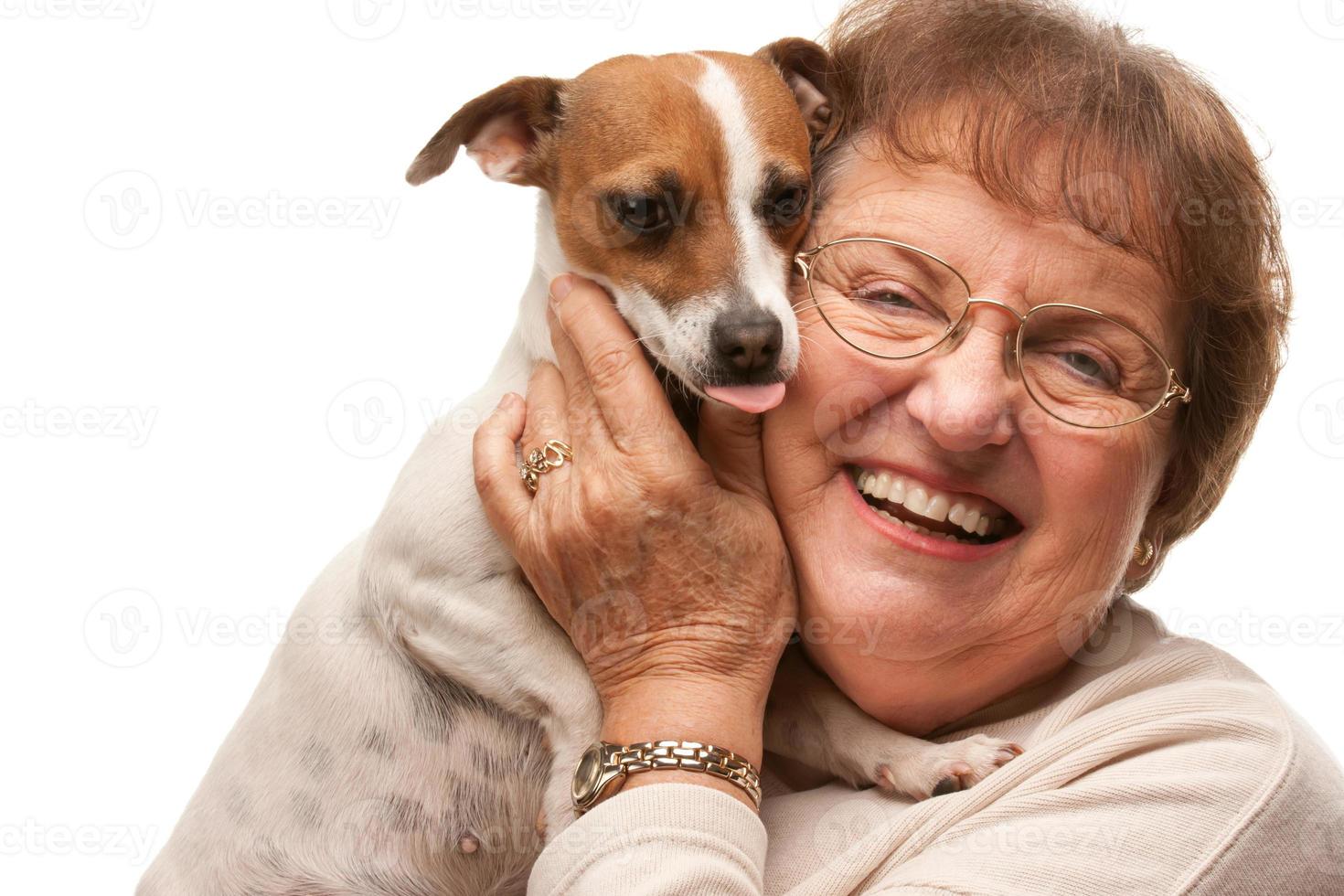 Happy Attractive Senior Woman with Puppy on White photo